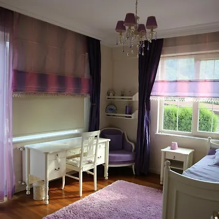 Damla Villa Sapanca